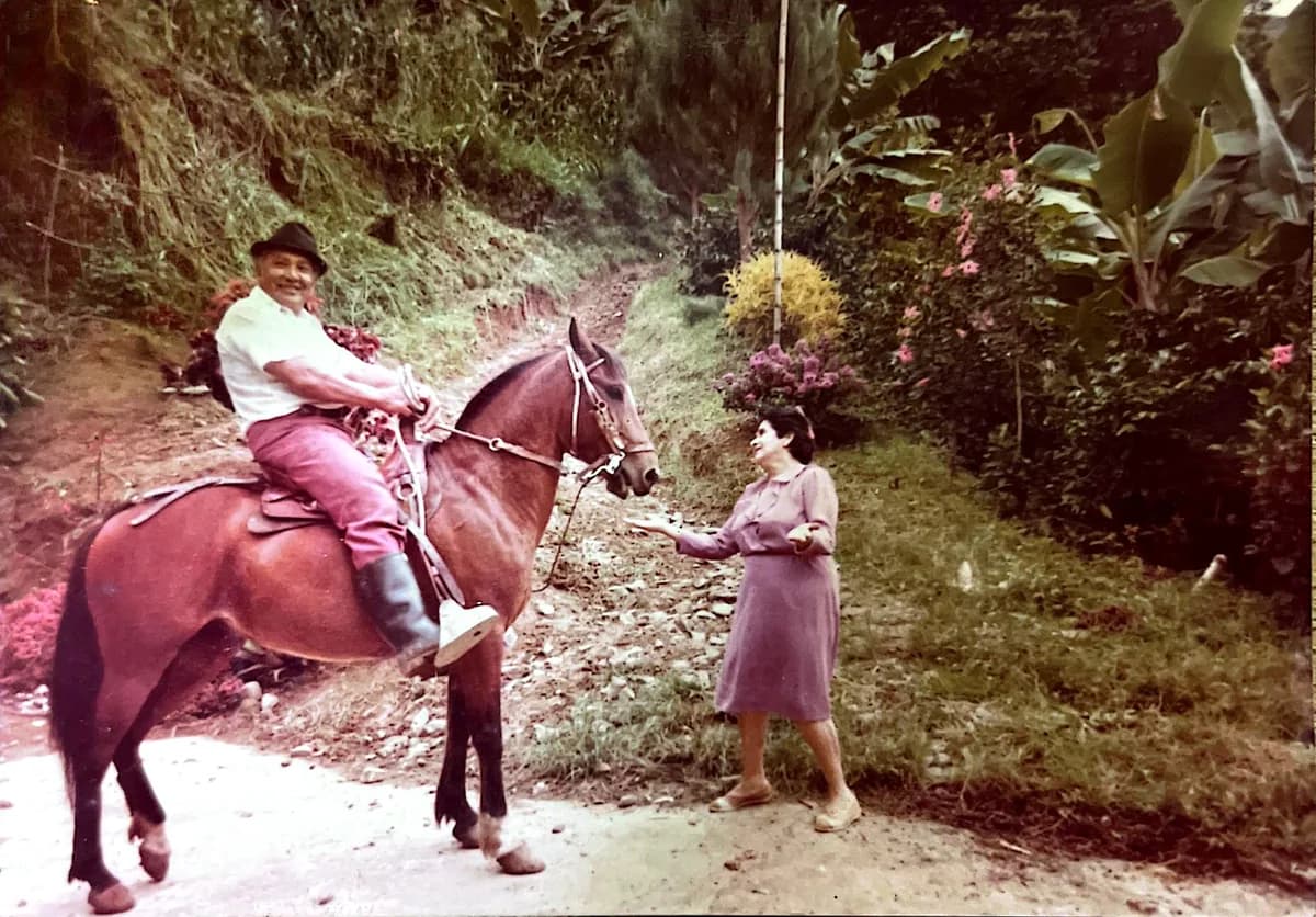 Fotografía antigua: un hombre a caballo en un camino de la finca, con vegetación a los lados